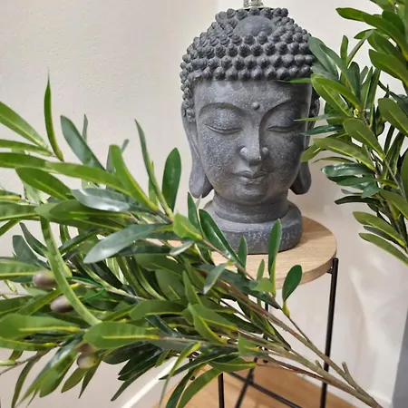 Parkside - Air Albania View Tiran