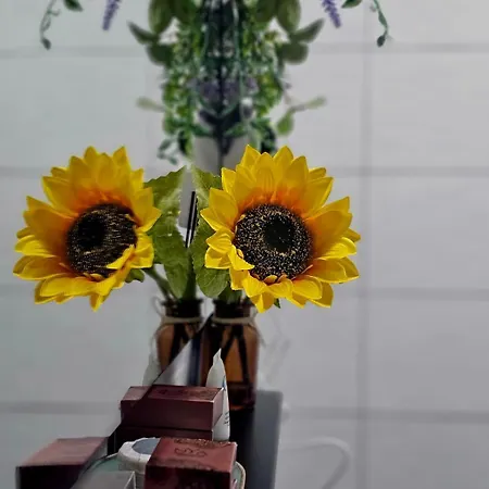 Parkside - Air Albania View 아파트 *