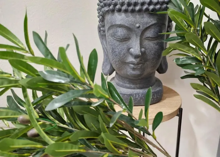 Parkside - Air Albania View Tirana